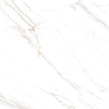 Carved Carrara Ceramic Tile