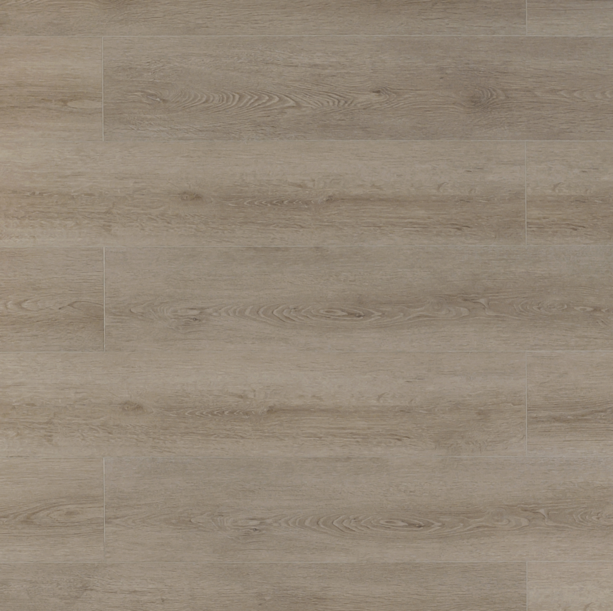 French Grey waterproof SPC vinyl plank flooring, cool matte wood look, EIR texture, 6 mm core