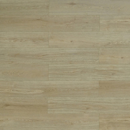 Las Cruces water resistant laminate flooring, I4F click-lock, AC4 commercial grade, matte wood look