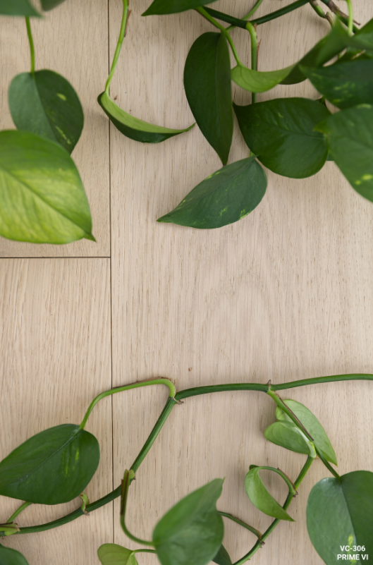 Prime VI Engineered Wood Flooring