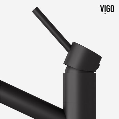 Branson Kitchen Faucet