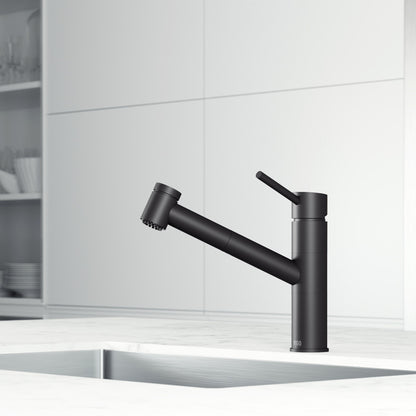 Branson Kitchen Faucet