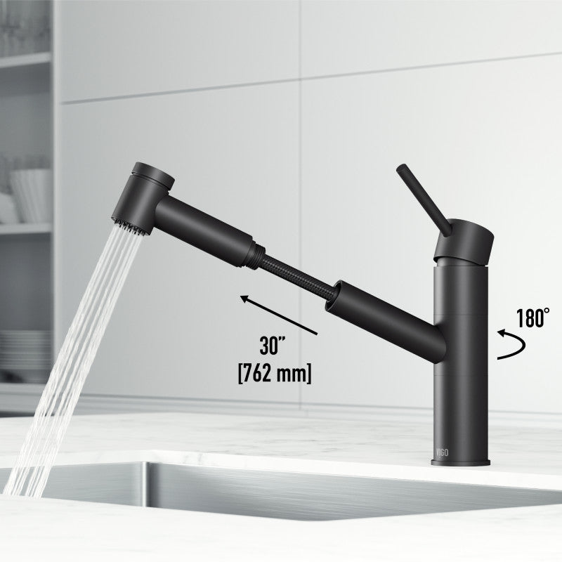 Branson Kitchen Faucet