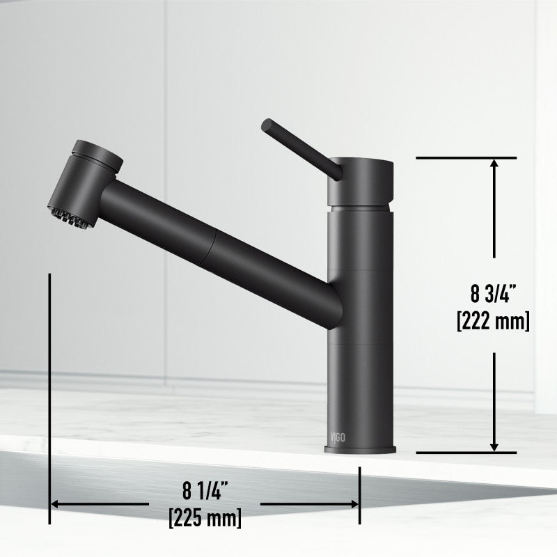 Branson Kitchen Faucet