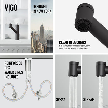 Branson Kitchen Faucet