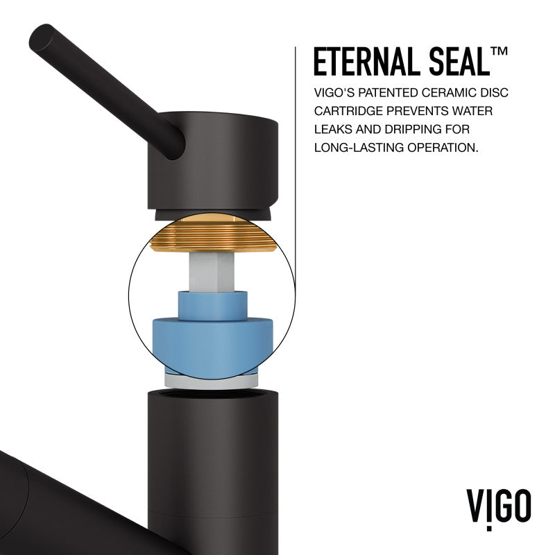 Branson Kitchen Faucet