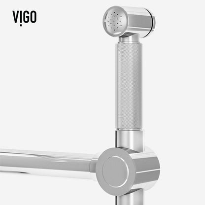 Cass Bridge Kitchen Faucet with Side Sprayer