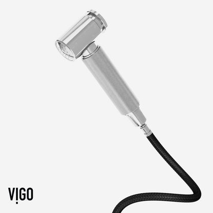 Cass Bridge Kitchen Faucet with Side Sprayer