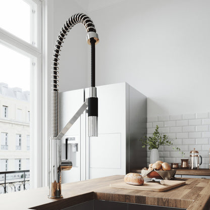 Livingston Kitchen Faucet