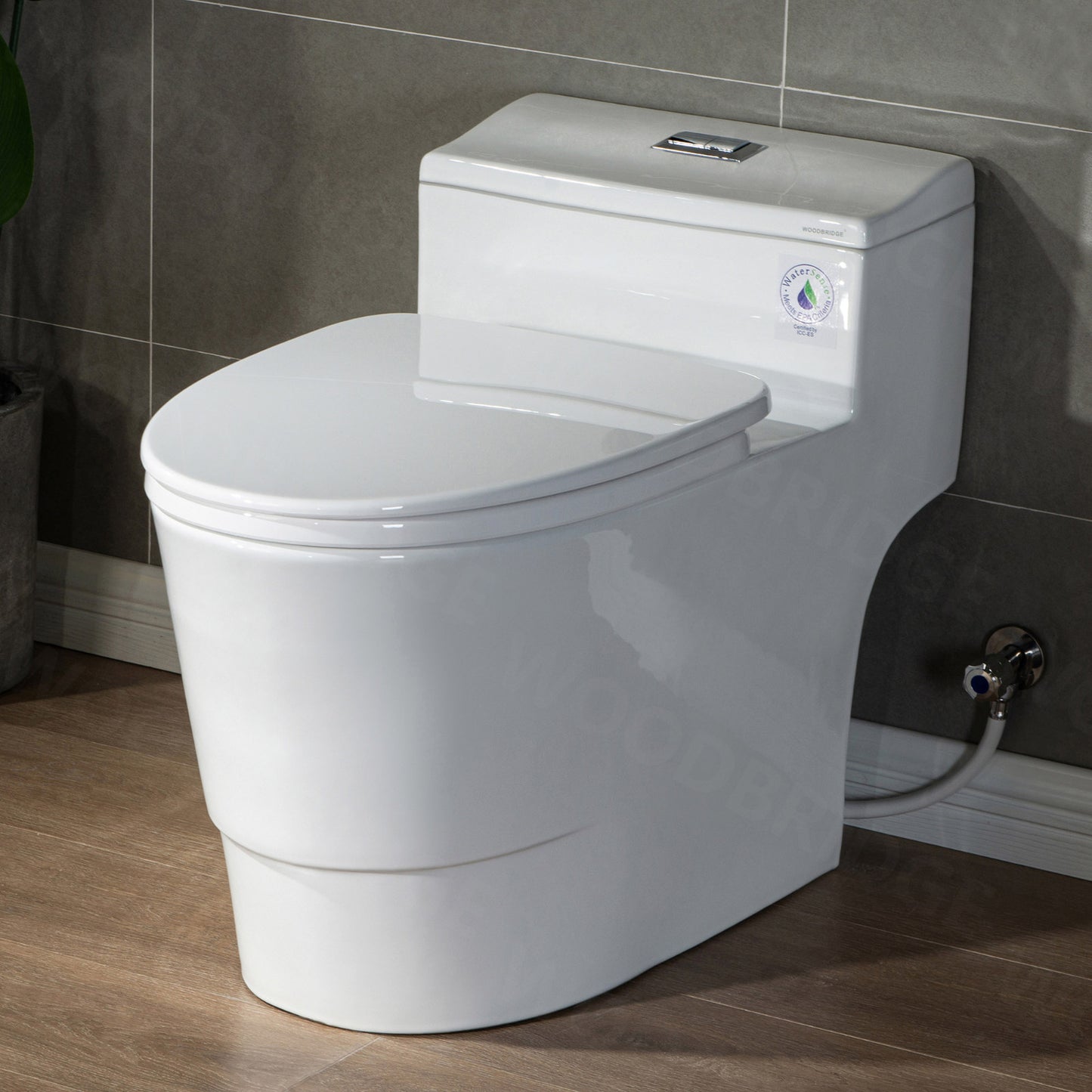 Adler One-Piece Elongated Toilet - front view