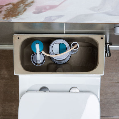 Adler One-Piece Elongated Toilet - additional view