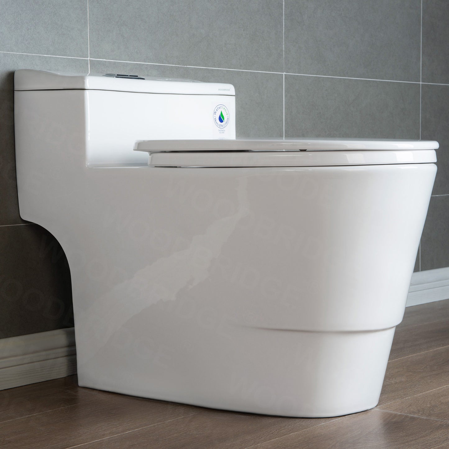 Adler One-Piece Elongated Toilet - additional view
