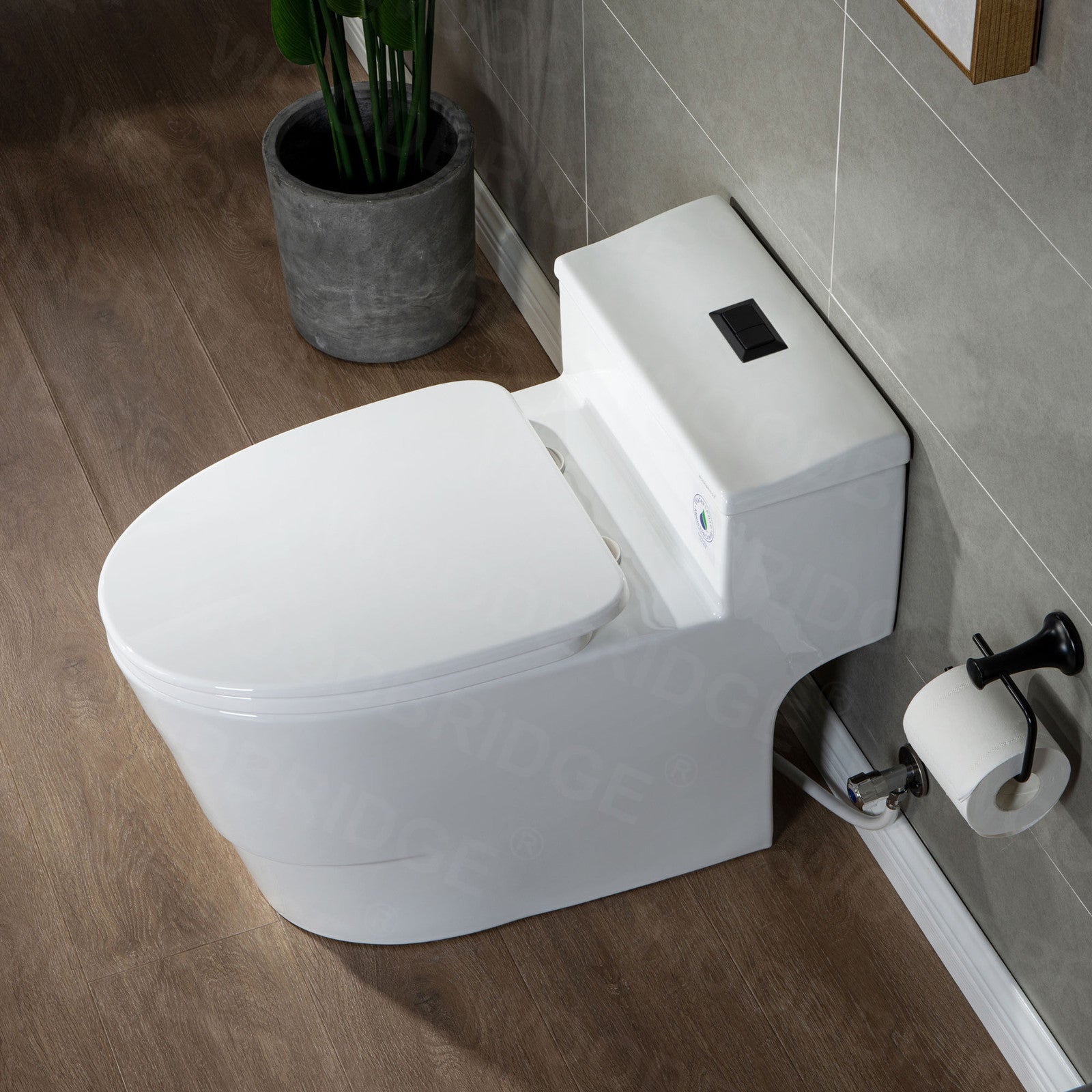 Adler One-Piece Elongated Toilet - additional view