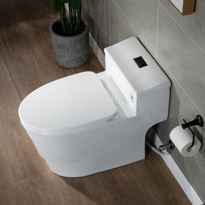 Adler One-Piece Elongated Toilet - additional view