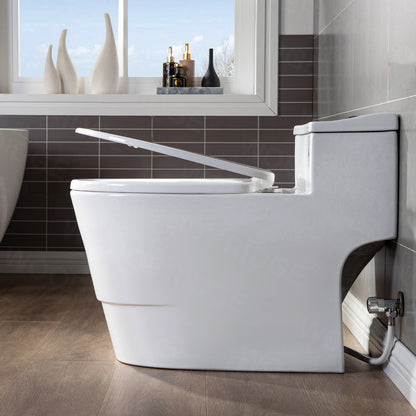 Adler One-Piece Elongated Toilet - additional view