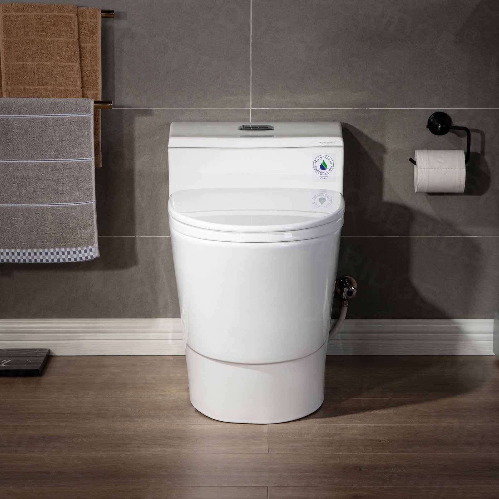 Adler One-Piece Elongated Toilet - side view