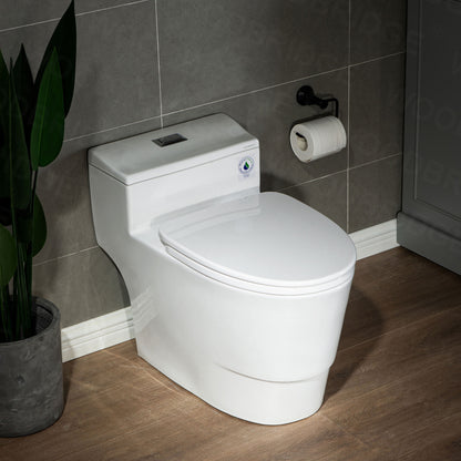 Adler One-Piece Elongated Toilet - three-quarter view
