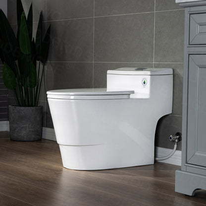 Adler One-Piece Elongated Toilet - rear view