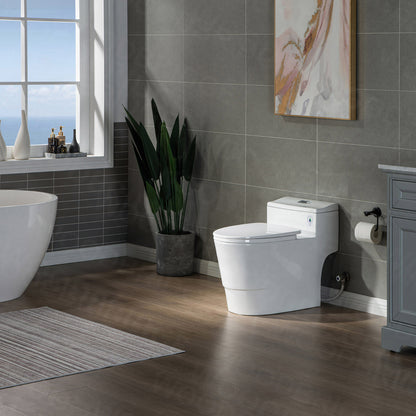 Adler One-Piece Elongated Toilet - profile view