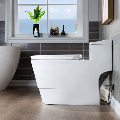 Adler One-Piece Elongated Toilet - flush button detail