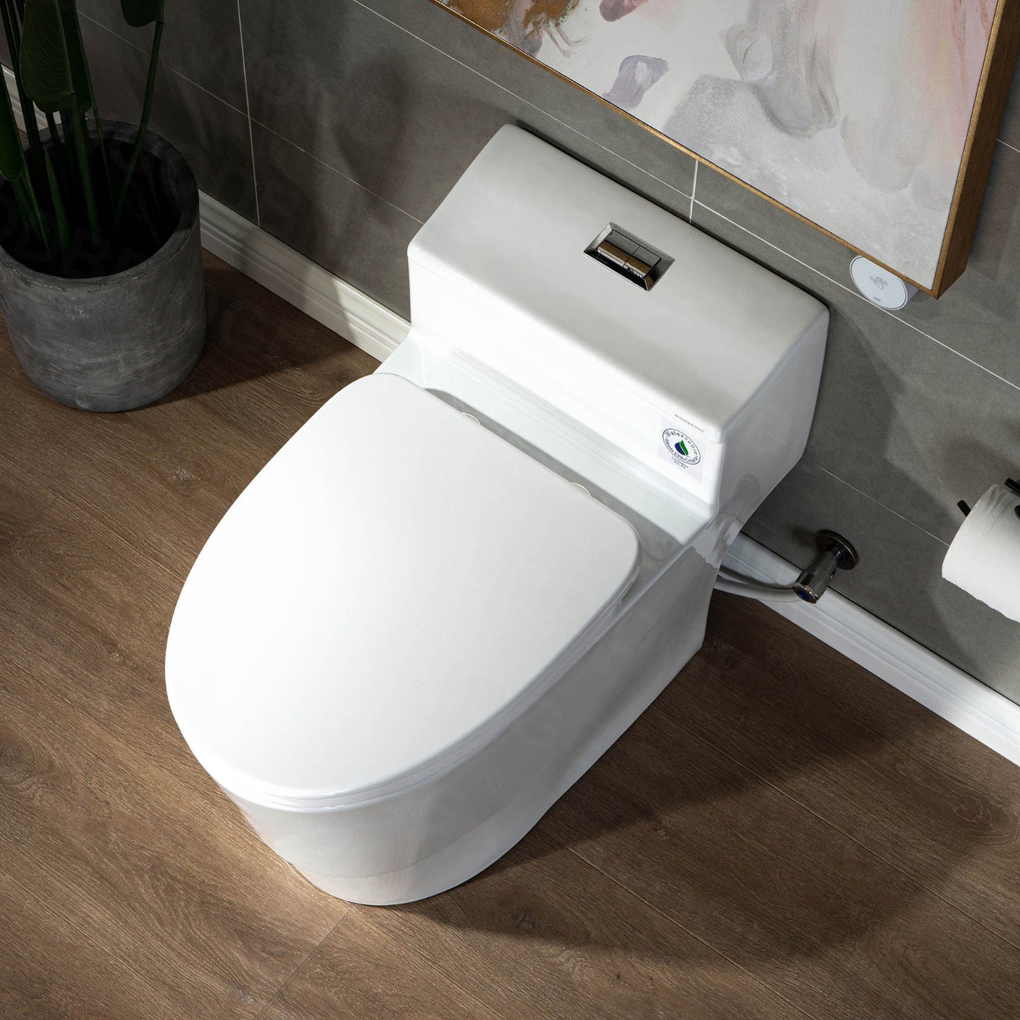 Adler One-Piece Elongated Toilet - installation view