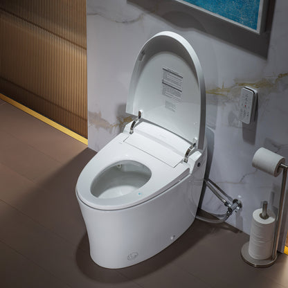 Callan One-Piece Intelligent Bidet Toilet - remote control
