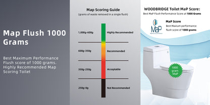 Halden One-Piece Elongated Toilet - feature detail
