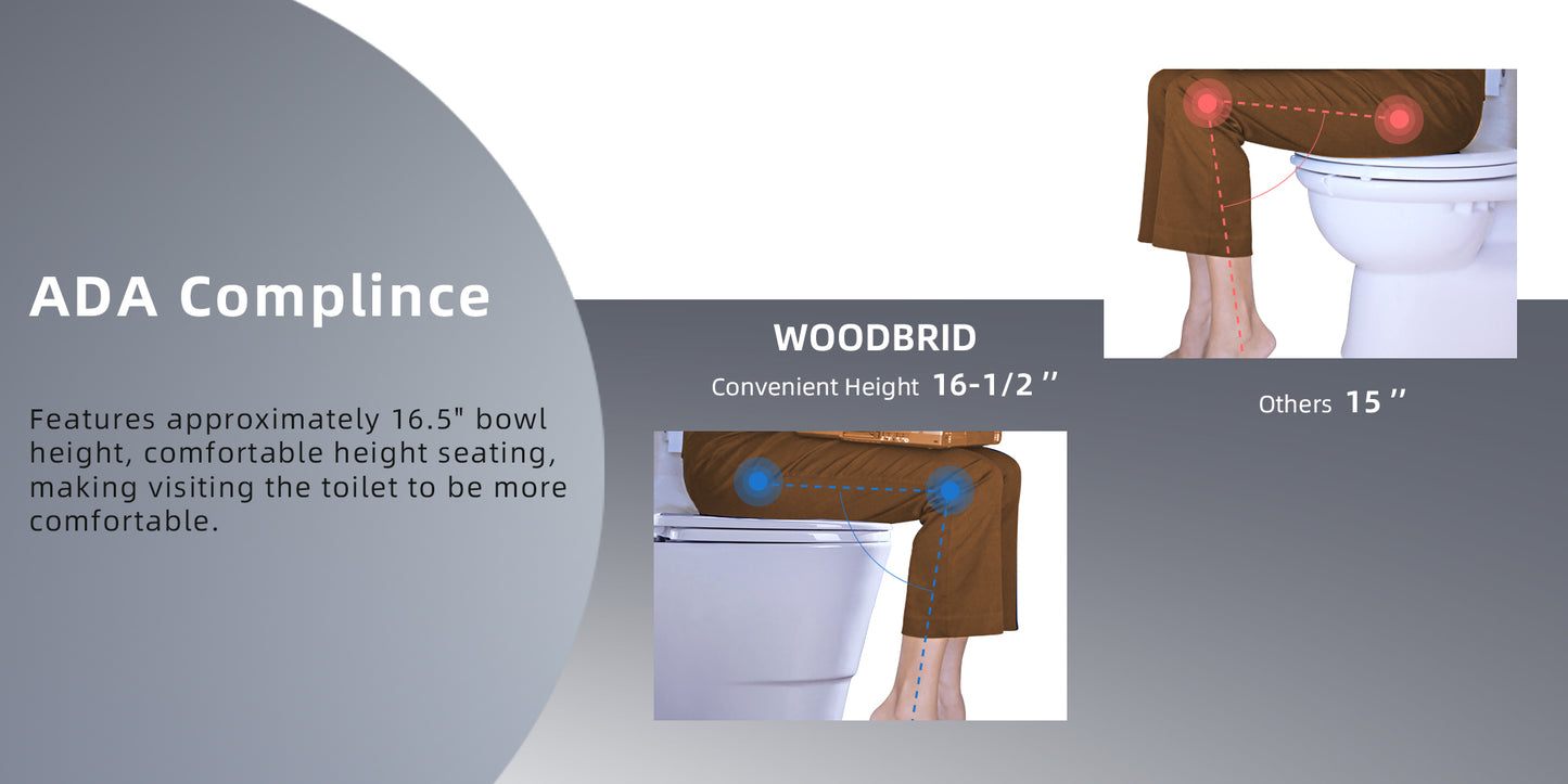 Halden One-Piece Elongated Toilet - feature detail