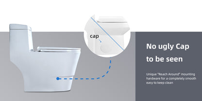 Halden One-Piece Elongated Toilet - no ugly cap feature