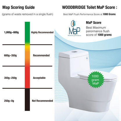 Halden One-Piece Elongated Toilet - rear view