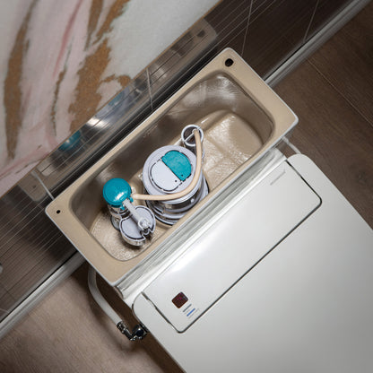 Isadora Elongated Intelligent Bidet Toilet - installation view