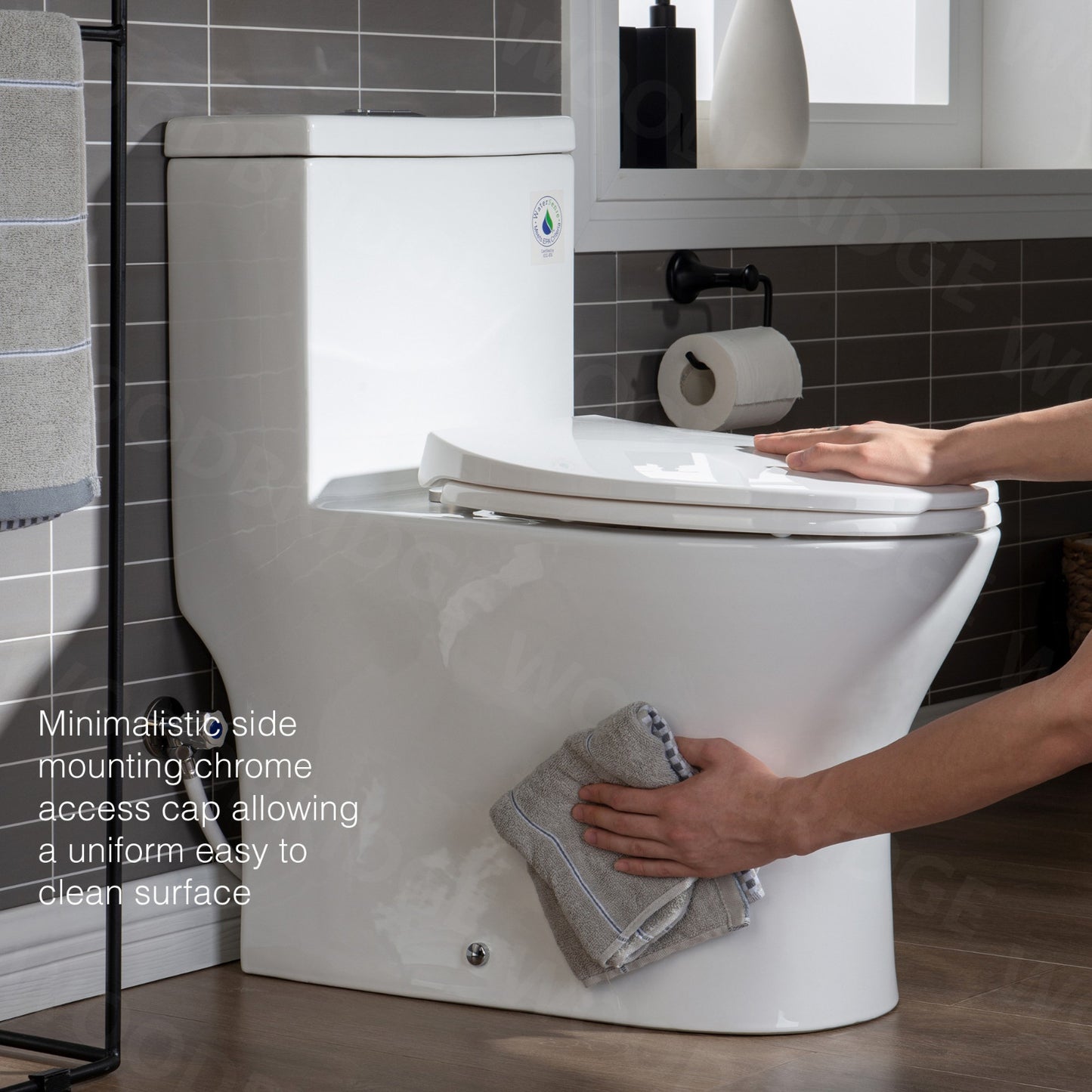 Linden One-Piece Elongated Toilet - additional view