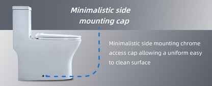 Linden One-Piece Elongated Toilet - feature detail