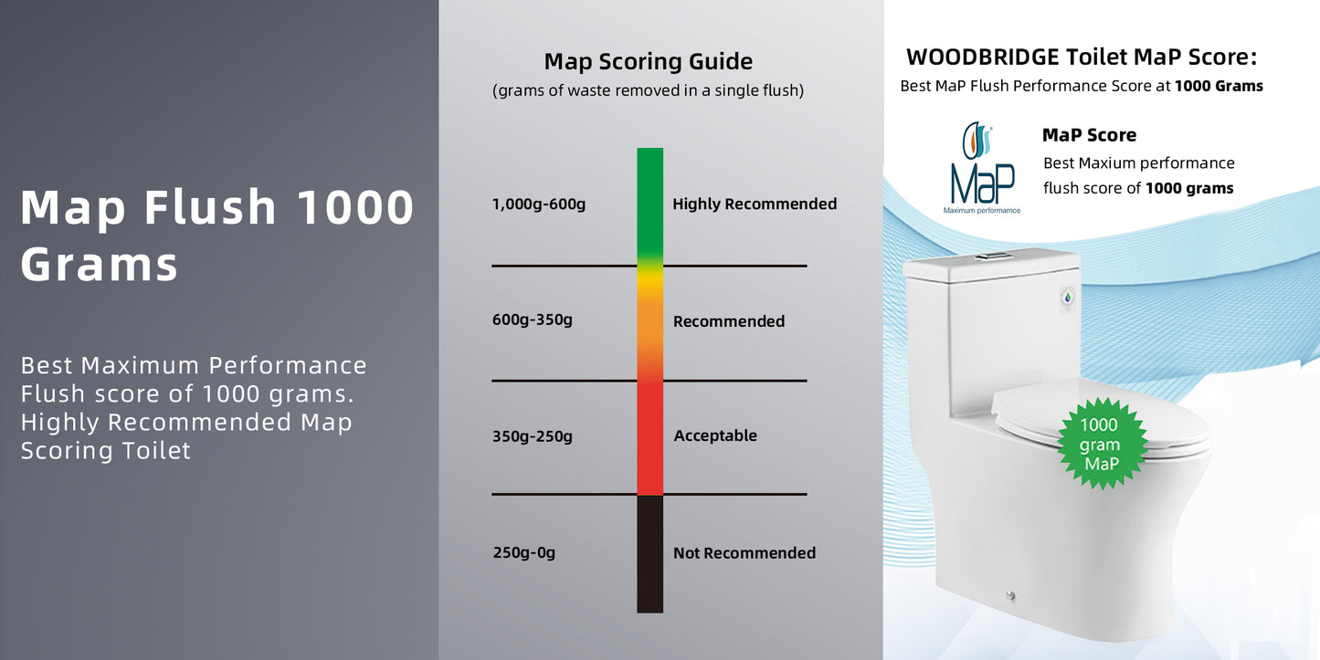 Linden One-Piece Elongated Toilet - feature detail