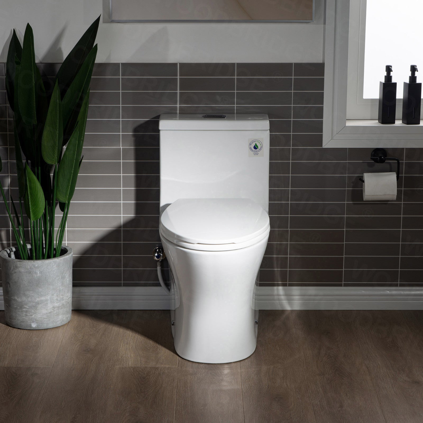Linden One-Piece Elongated Toilet - rear view