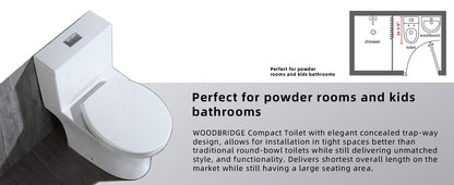 Miro Compact One-Piece Toilet - feature detail