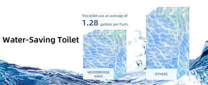 Miro Compact One-Piece Toilet - feature detail