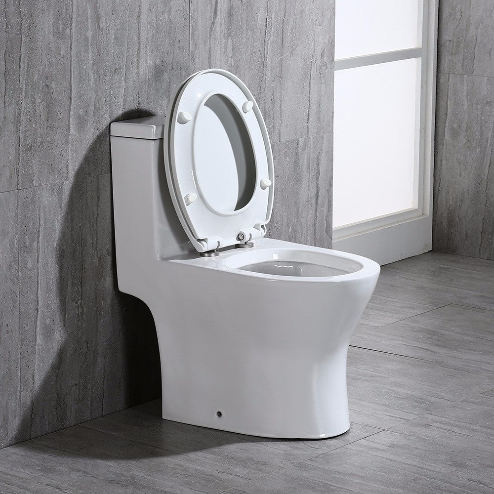 Miro Compact One-Piece Toilet - flush button detail