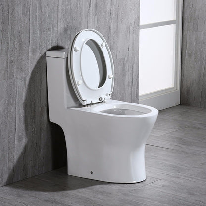 Miro Compact One-Piece Toilet - flush button detail