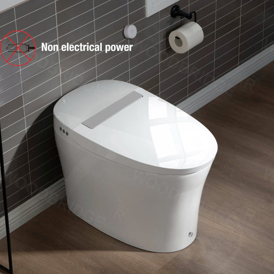 Nolan Tankless One-Piece Toilet - front view