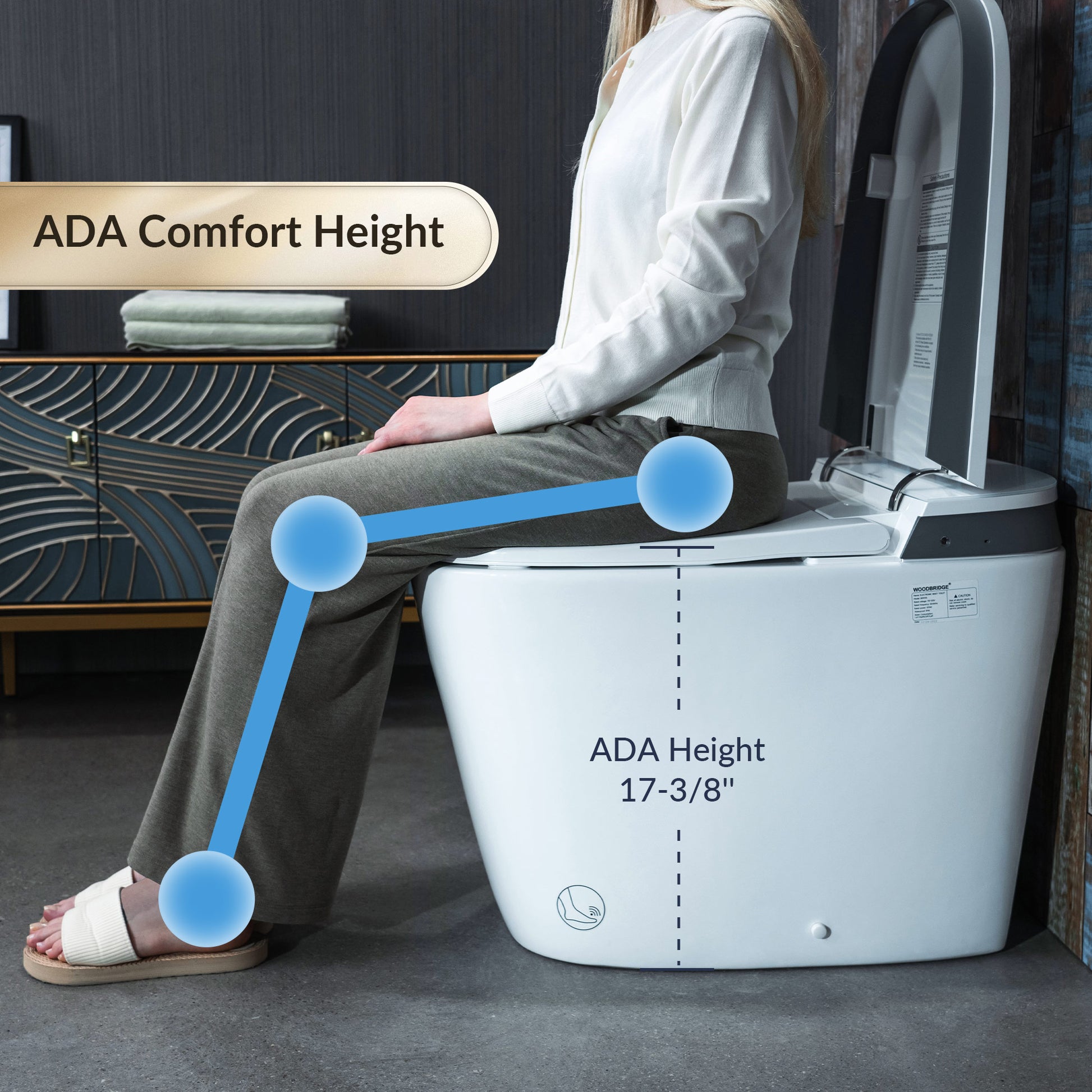 Orion Intelligent Voice-Control Bidet Toilet - top view