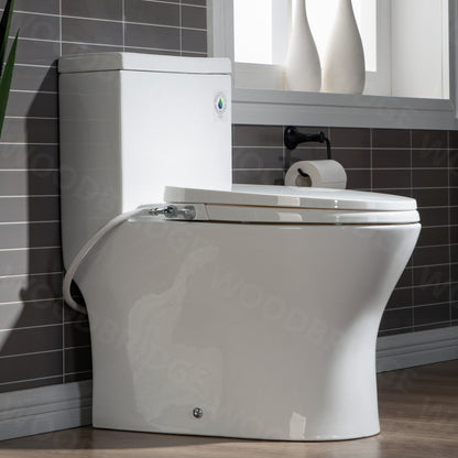 Preston One-Piece Elongated Toilet - front view