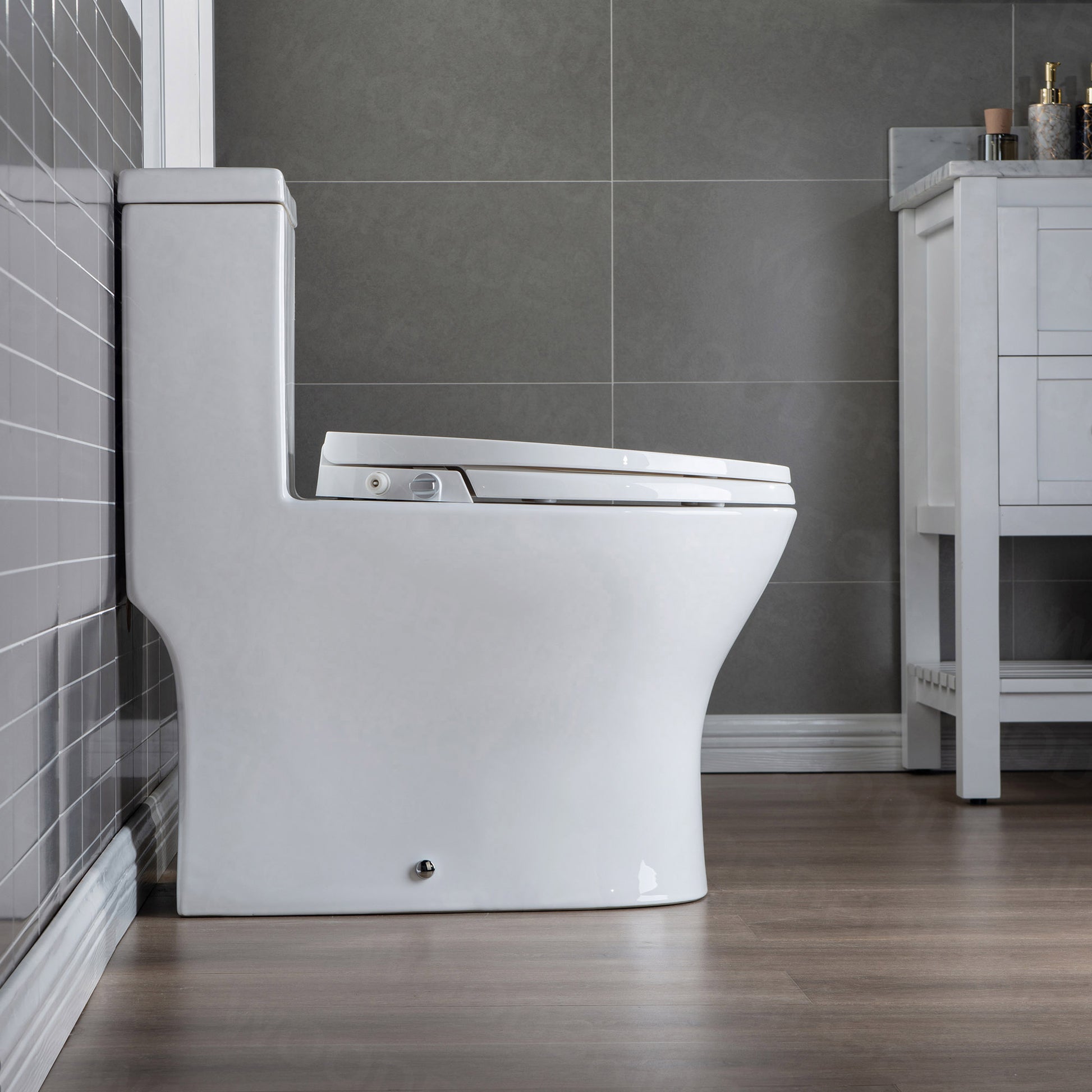 Preston One-Piece Elongated Toilet - rear view