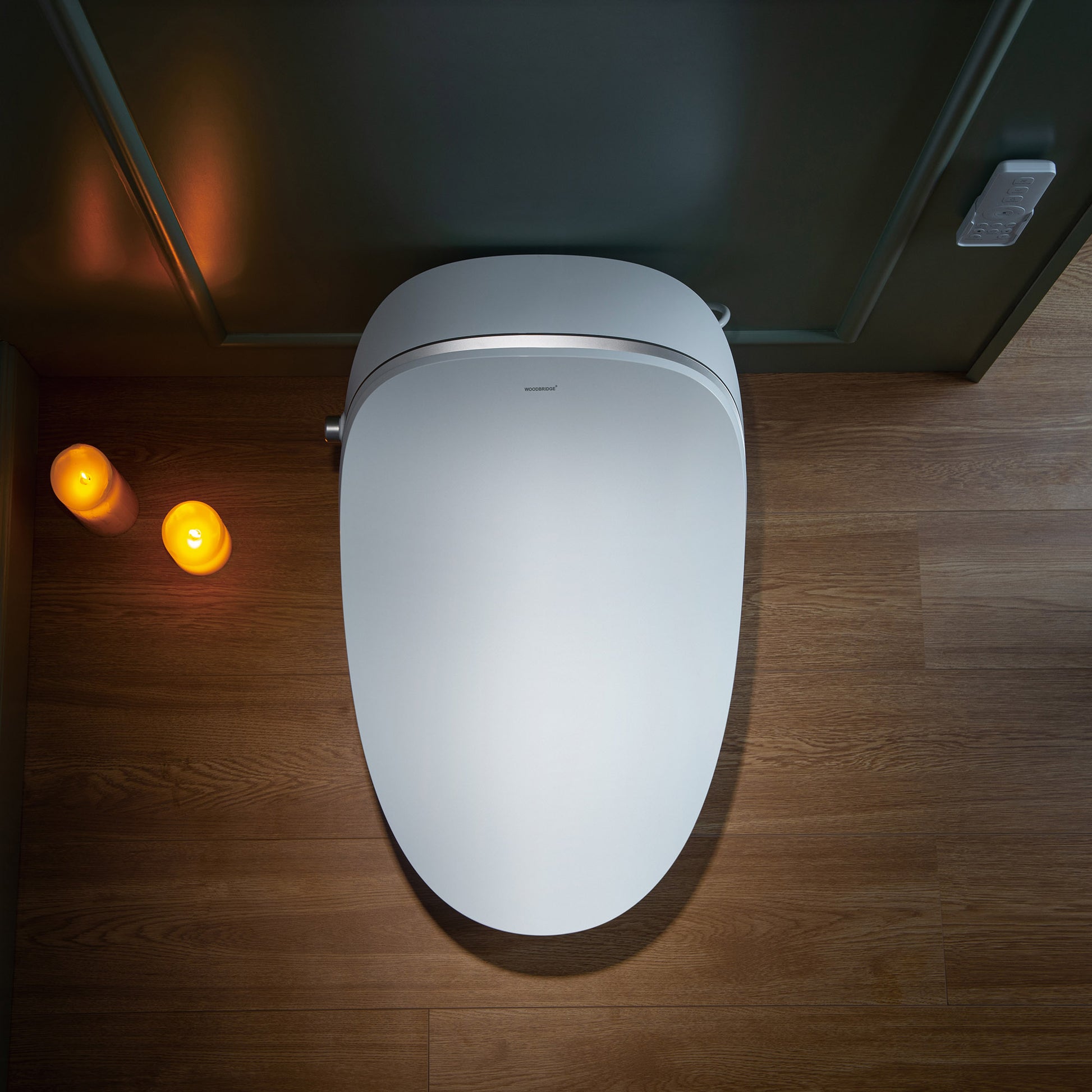 Rowan One-Piece Intelligent Bidet Toilet - remote control