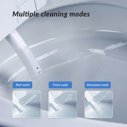 Rowan One-Piece Intelligent Bidet Toilet - control panel