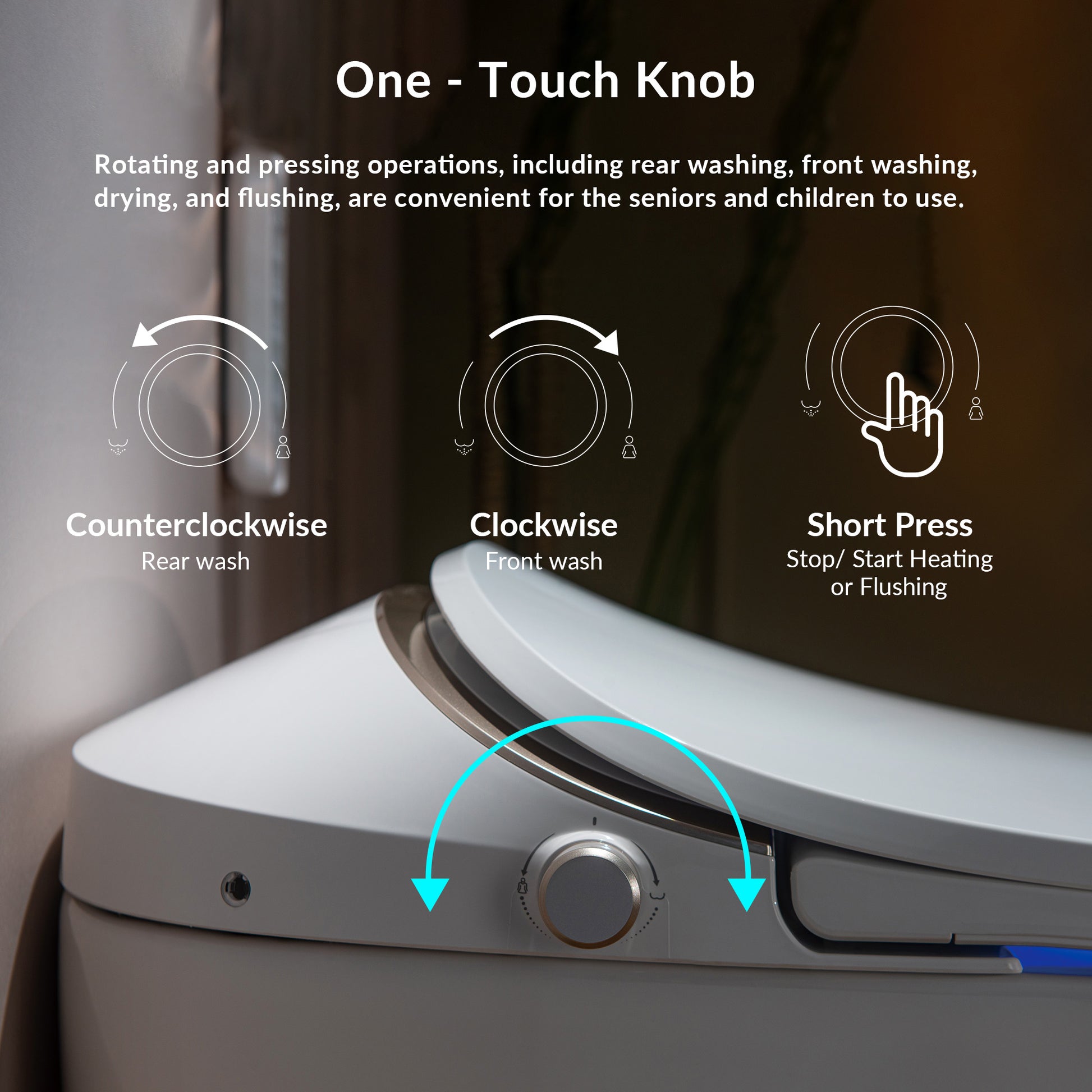 Rowan One-Piece Intelligent Bidet Toilet - additional view