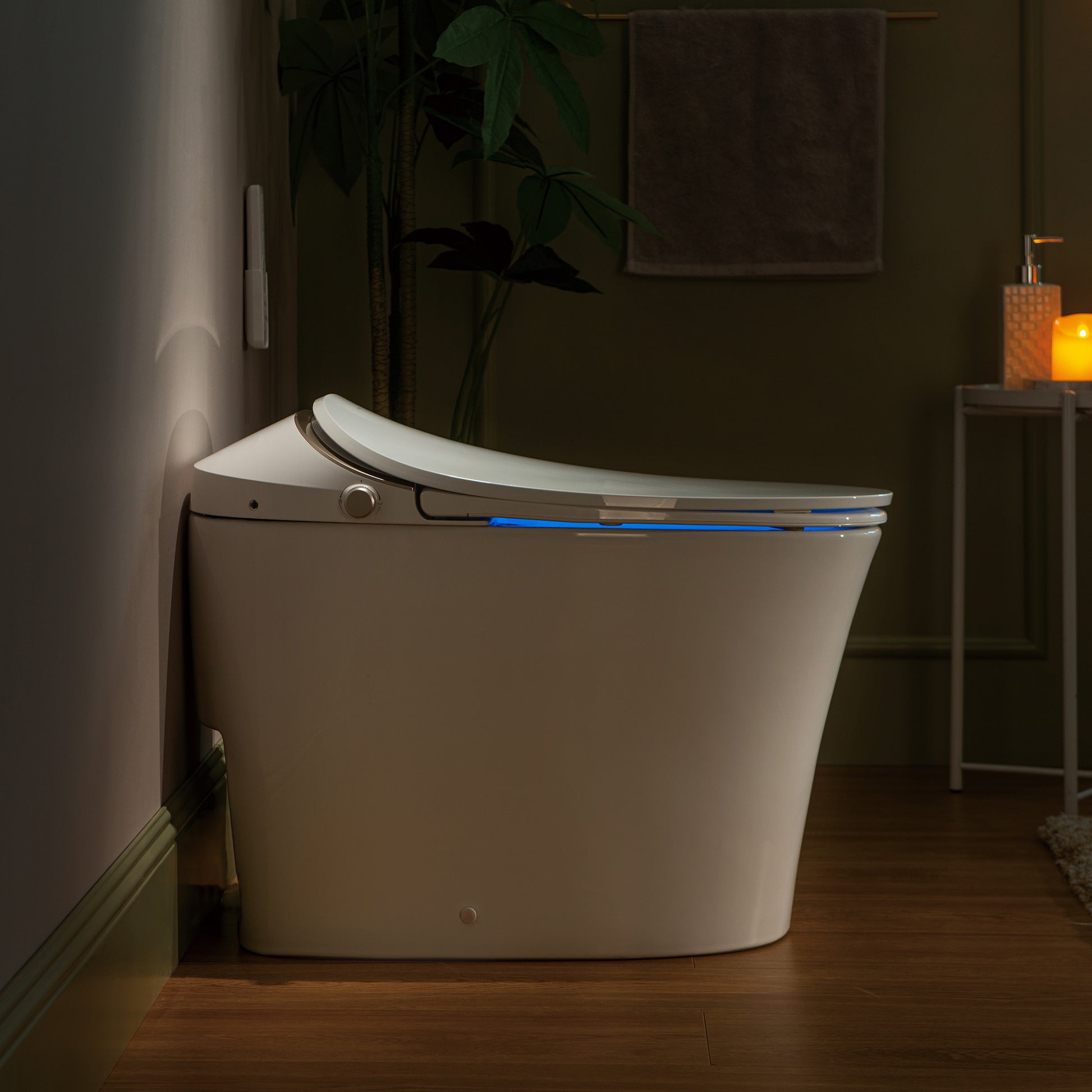 Rowan One-Piece Intelligent Bidet Toilet - additional view