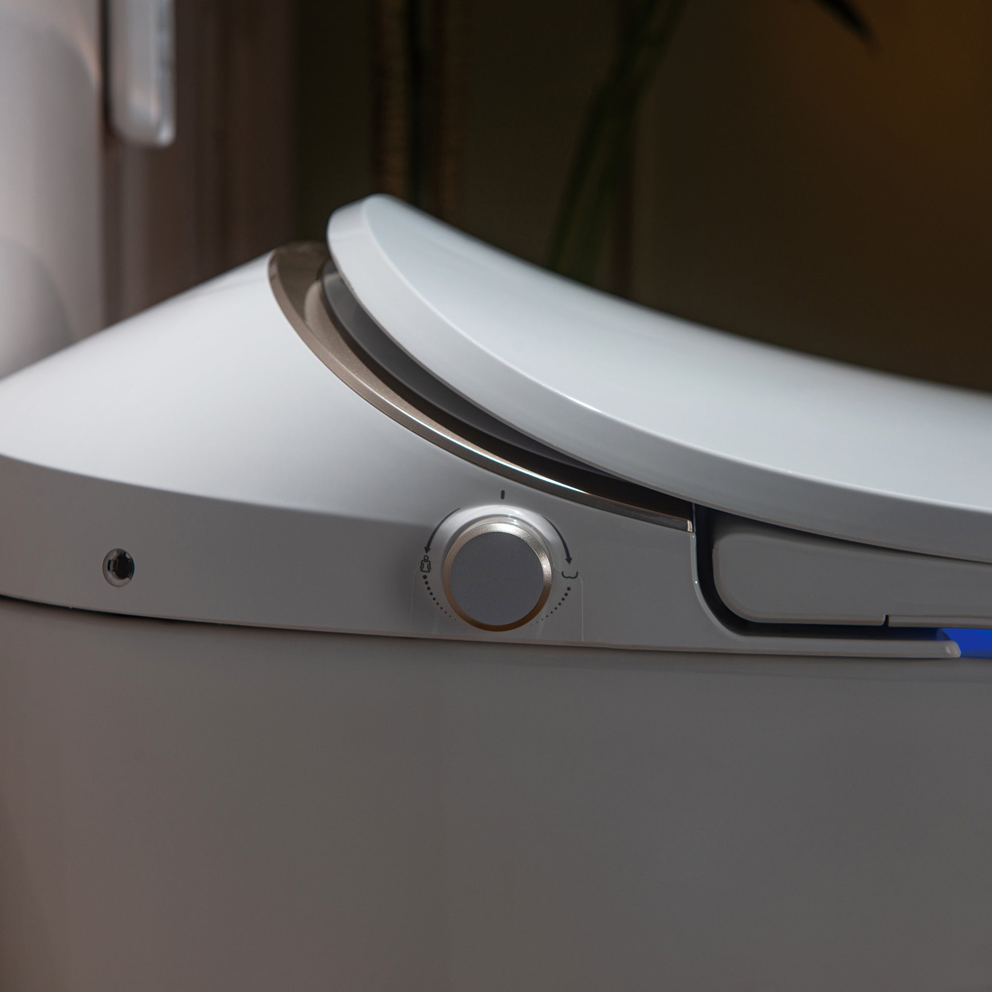 Rowan One-Piece Intelligent Bidet Toilet - additional view