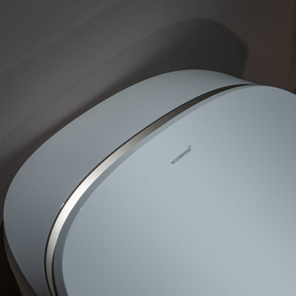 Rowan One-Piece Intelligent Bidet Toilet - additional view
