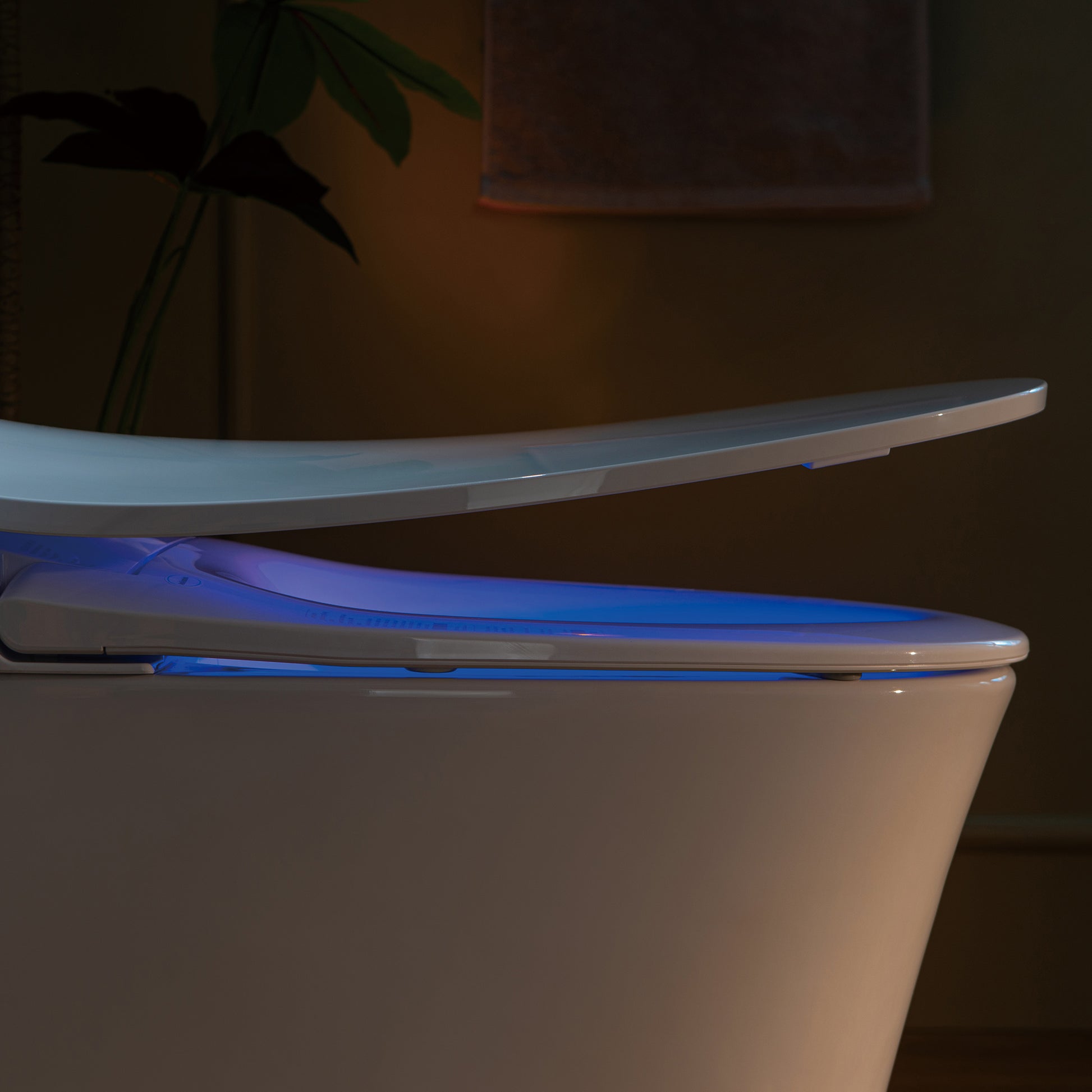 Rowan One-Piece Intelligent Bidet Toilet - additional view